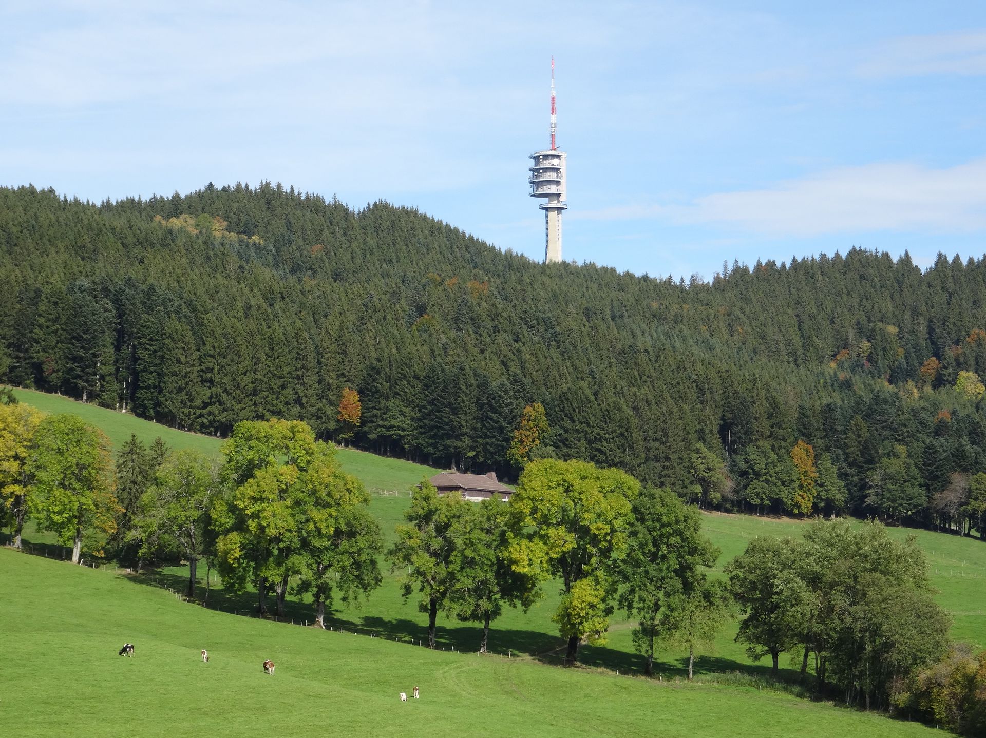 Gibloux